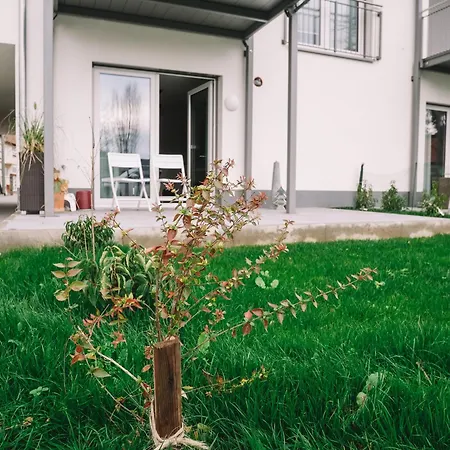 Willy's Ferienzimmer Im Tabakdorf Hatzenbuehl Hatzenbuhl
